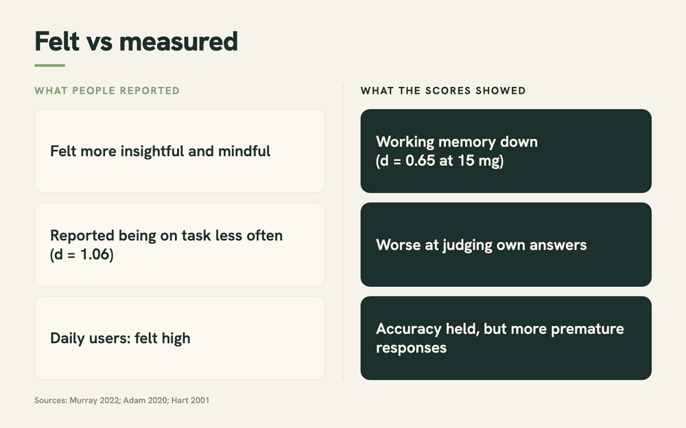 Two-column graphic comparing what people reported on THC, such as feeling insightful, with what task scores showed, such as lower working memory and worse self-judgment.