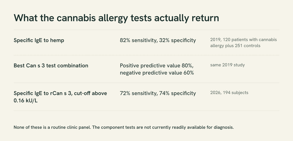 Three-row table of reported performance for cannabis allergy tests, including 82% sensitivity and 32% specificity for specific IgE to hemp.