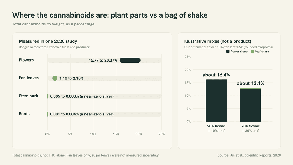 Bar chart: total cannabinoids in flowers 15.77-20.37%, fan leaves 1.10-2.10%, stem bark under 0.01%, plus two illustrative mixes of flower and leaf at 16.4% and 13.1%.