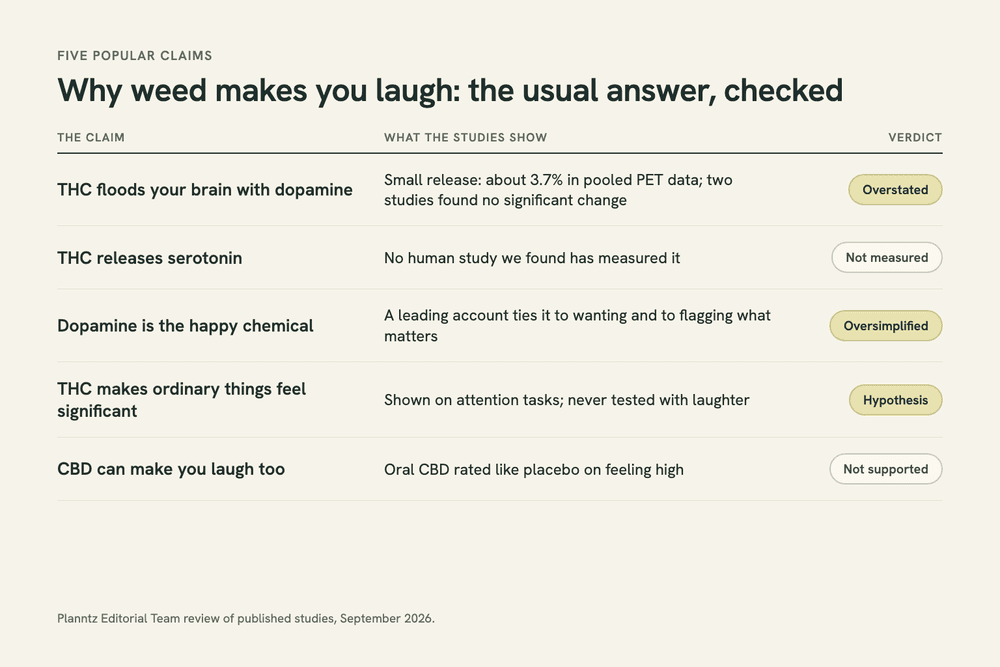 Summary chart grading five popular claims about THC and laughter against the studies, with verdicts ranging from overstated and hypothesis to not measured and not supported.